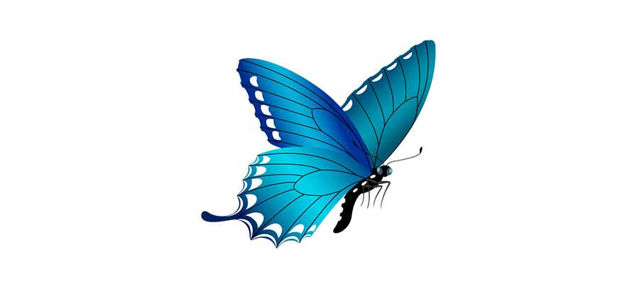 Ten Billion Butterfly&nbsp;Sneezes