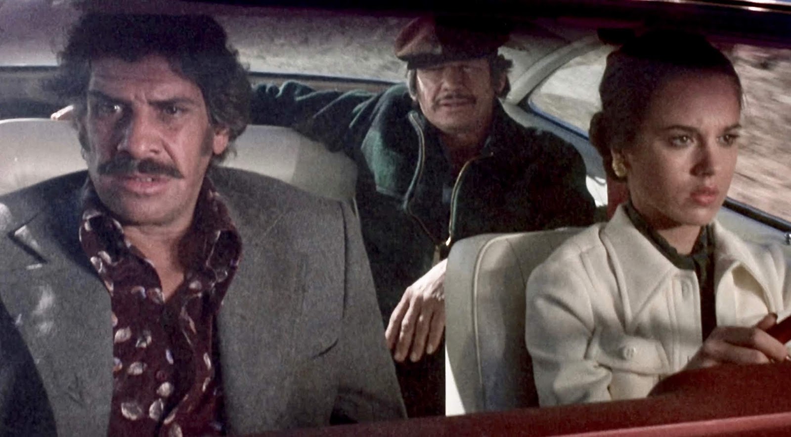 Screen Shot 2019-01-13 at 7.30.26 PM