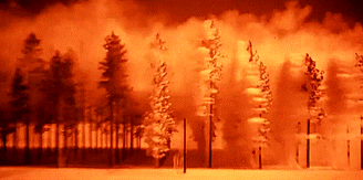 6e84f0a08127cb6e47a47941f235de50