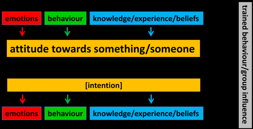 Factors-influencing-attitude-formation-These-factors-may-undergo-changes-themselves-as