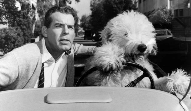 Fred MacMurray