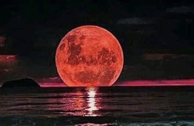 Lost in the&nbsp;Night