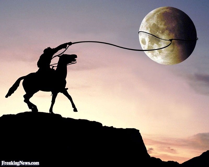 Left to My Own&nbsp;Devices