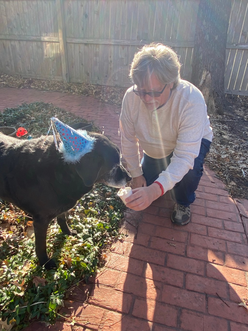 Life With Zeusy: The Dog That Taught Me About My&nbsp;Life