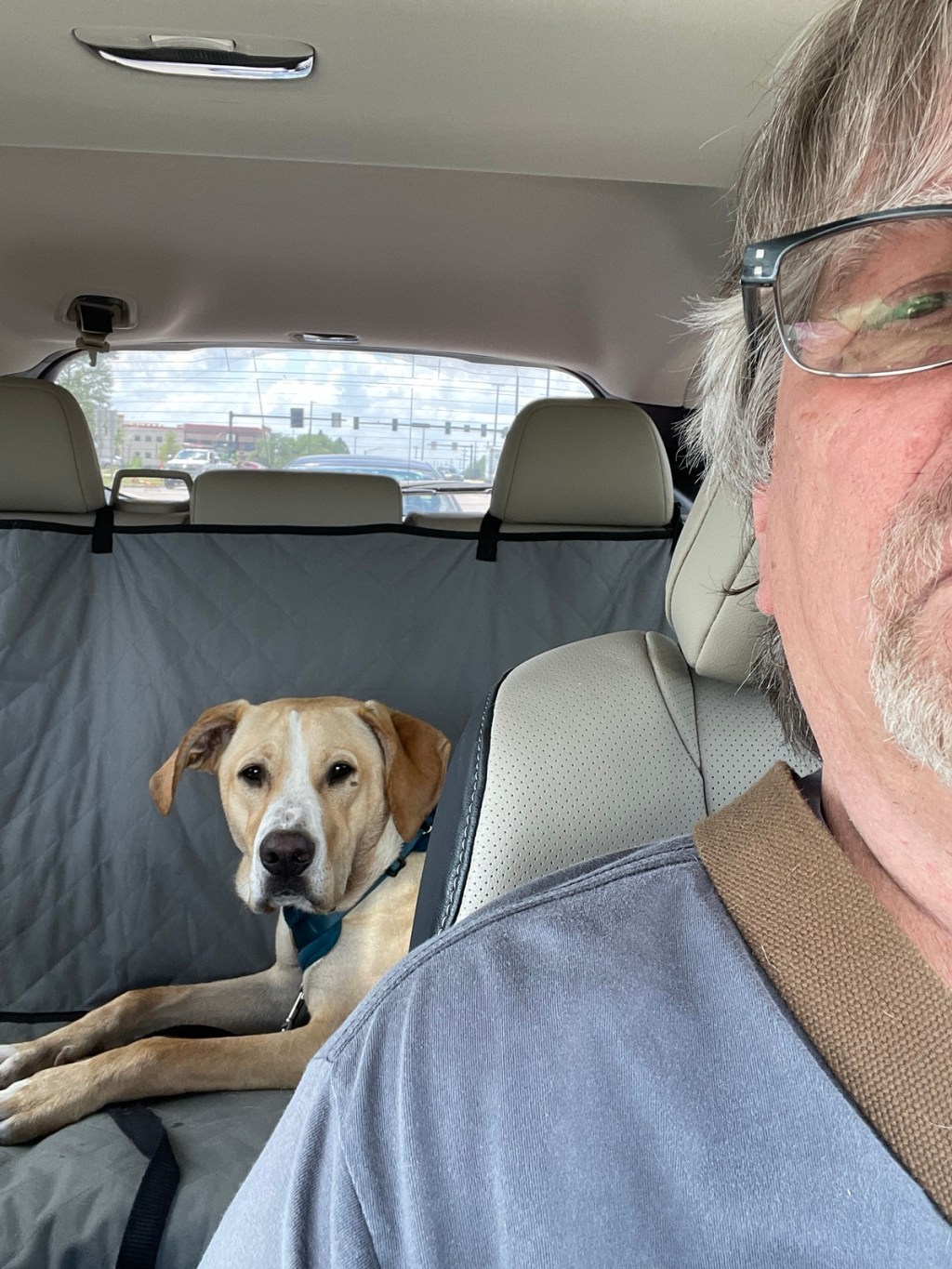 Life With Charlie, the Perpendicular&nbsp;Dog