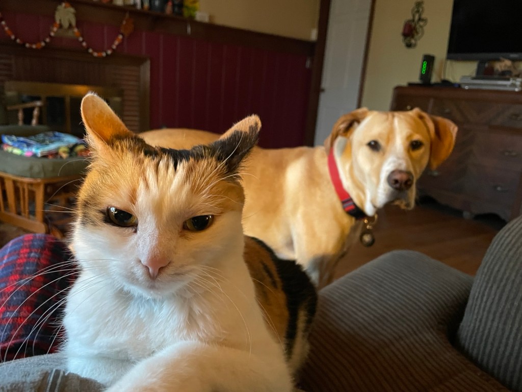 1,800 Blogs, Time for a Short&nbsp;Break